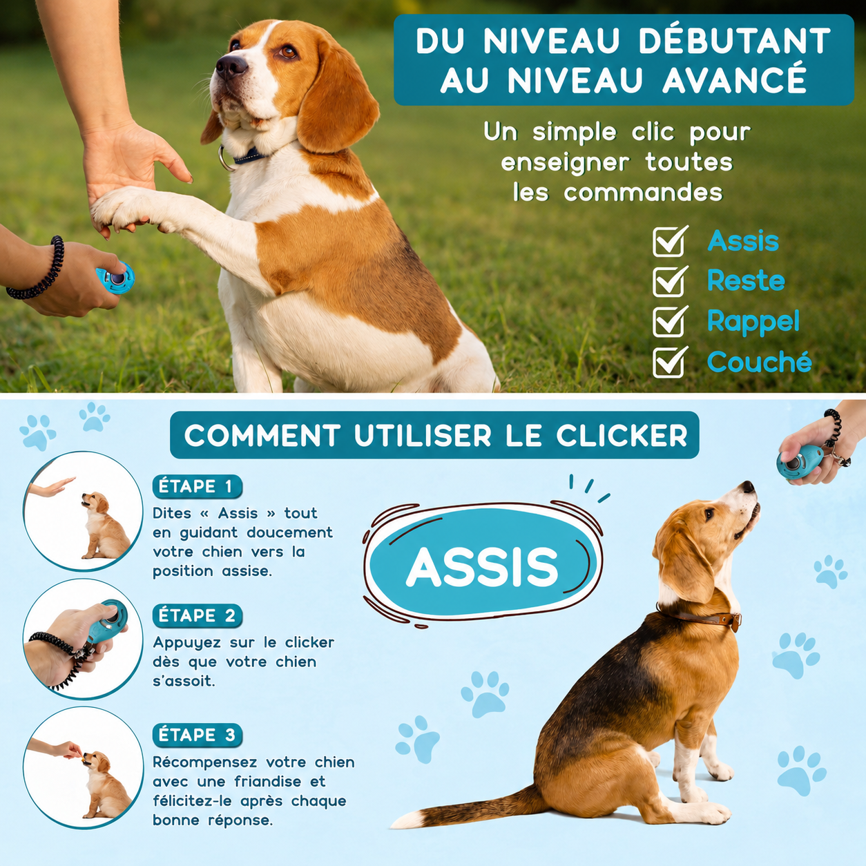 Clicker de Dressage pour Chien avec Dragonne | Éducation Positive